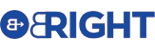 Bright Security Services Logo